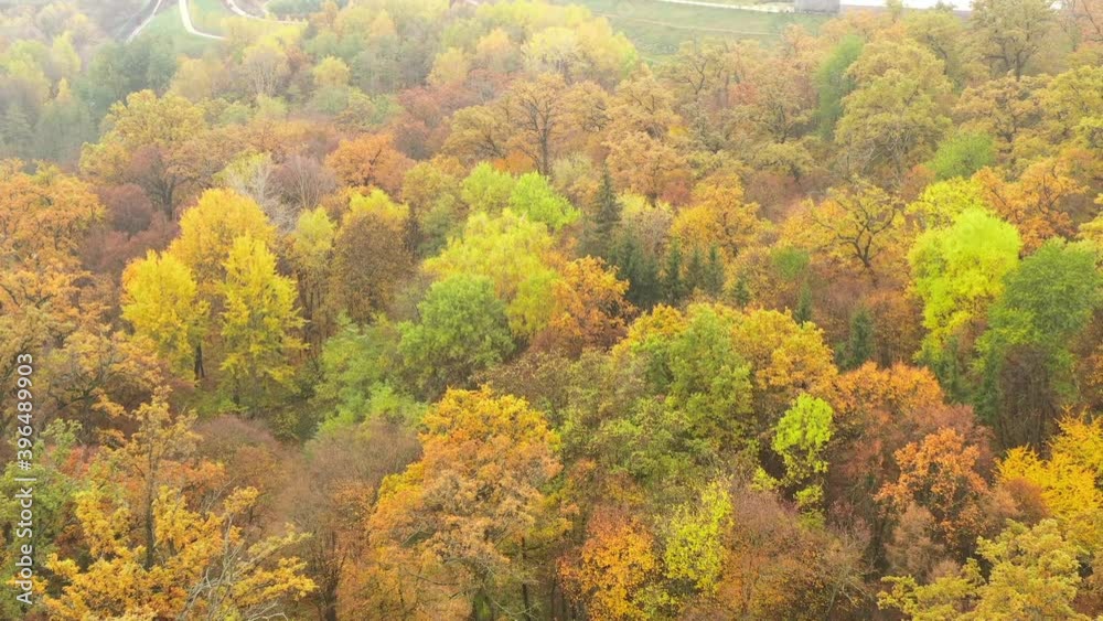 Autumn varied yellowed foliage on trees in the leafy forest - Flying over the various multicolored treetops in the autumn park - Drone shot Autumn varied yellowed foliage on trees in the leafy forest - Flying over the various multicolored treetops in the autumn park - Drone shot