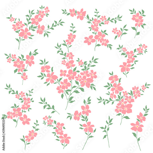 Beautiful flower illustration material collection