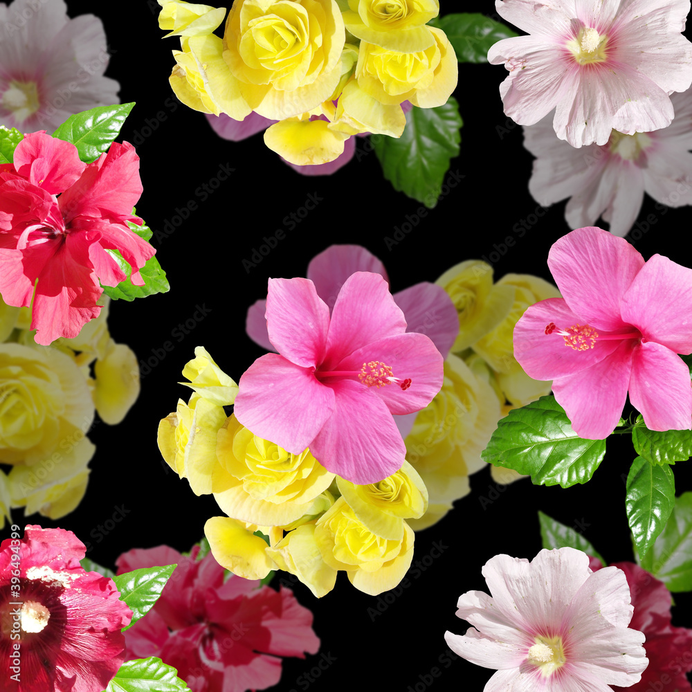 Obraz premium Beautiful floral background of hibiscus, begonia and mallow. Isolated