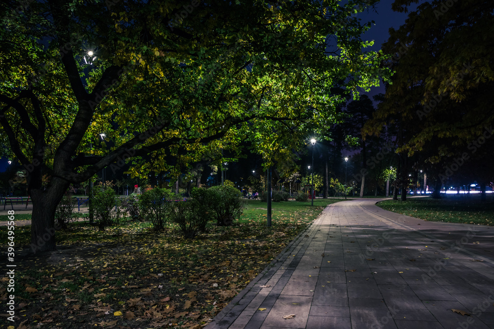 Obraz premium The teiled road in the night park with lanterns in autumn. Benches in the park during the autumn season at night. Illumination of a park road with lanterns at night. Park Kyoto