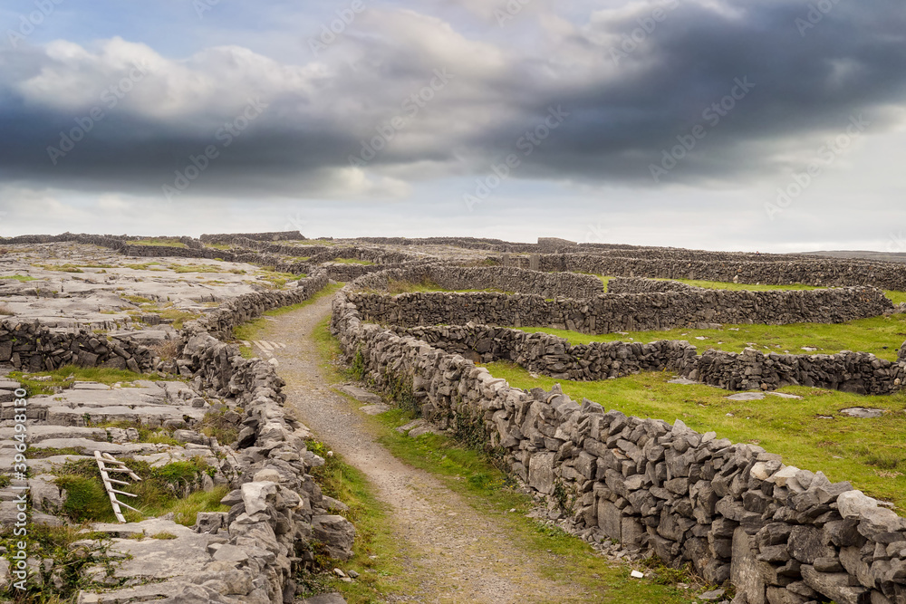 Maze of traditional dry stone walls and green fields. Landscape of Inishmore Aran islands, county Galway, Ireland. Dramatic sky in the background. Nobody. Old craft and skill concept.