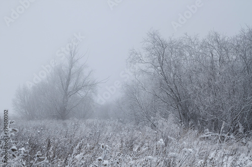 frosty winter morning