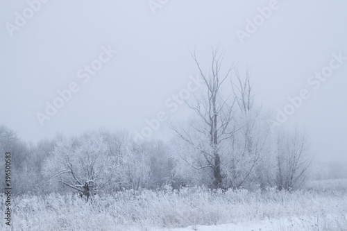 frosty winter morning