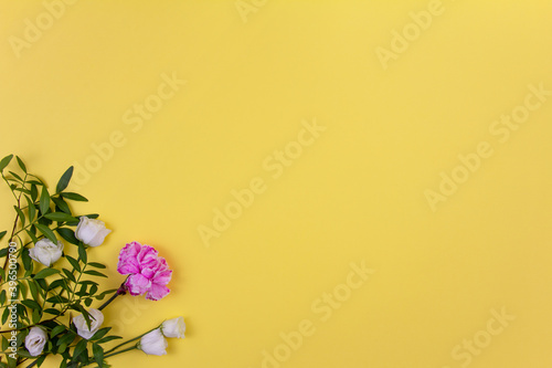 Greeting card with spring or summer yellow background with white and pink flowers with green leaves. Top view, flat lay, copy space.