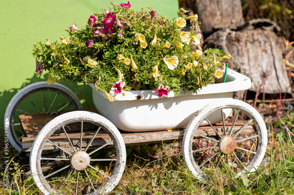 Cart with flowers