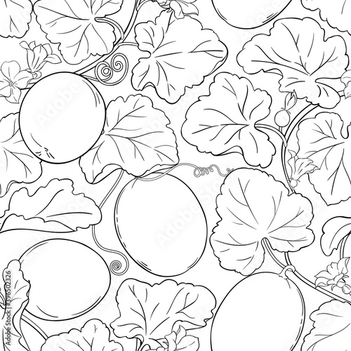melon vector pattern