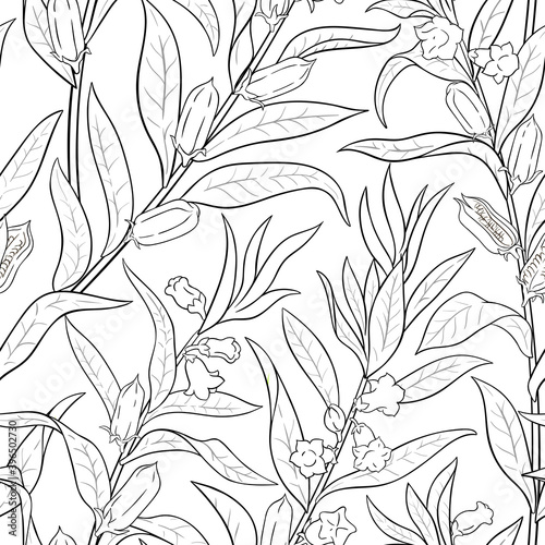 sesame vector pattern