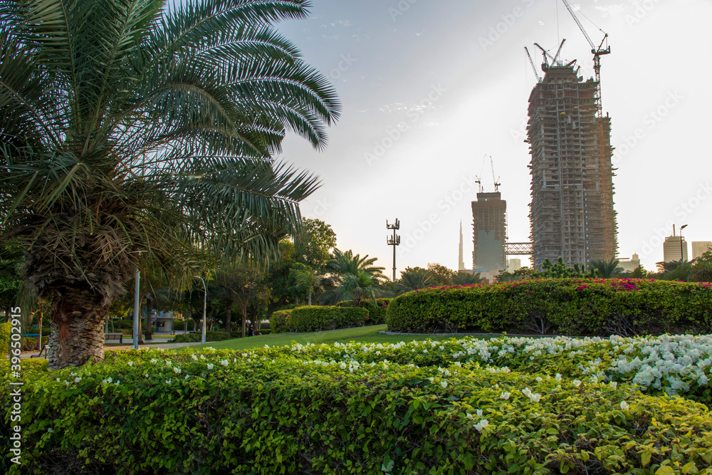 Fototapeta premium Shot from inside of a one of the most popular parks in Dubai. Zabeel park. UAE. Landmarks such Burj Khalifa, tallest building in the world and world trade center building can bee sen on the scene