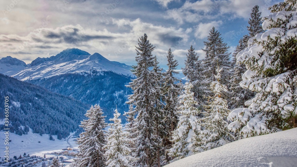 A snow covered mountain with a snow covered forest in front