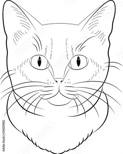 Coloring cat. Cat drawn with lines, for coloring.