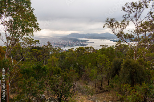 Trees, clouds, bay and city view