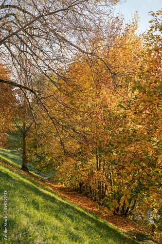 autumn colors in the park