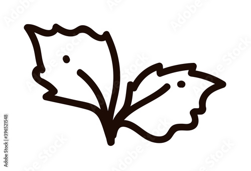 Outline cacao tree leaf sketch isolated on white background