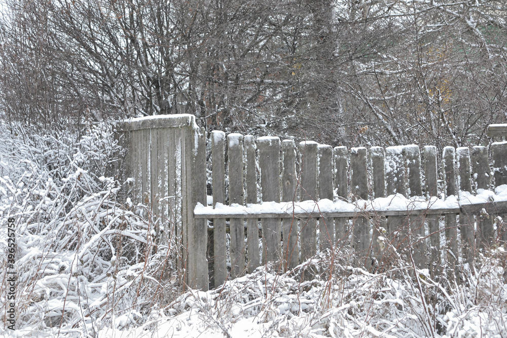 Wooden fence gate covered in white snow at heavy snowing snowstorm, storm, falling snowflakes, bushes in background. No edit. Wooden fence gate covered in white snow at heavy snowing snowstorm, storm, falling snowflakes, bushes in background. No edit.
