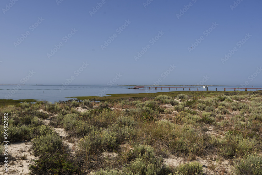 Park Ria Formosa, in Olhao, Algarve, Portugal Park Ria Formosa, in Olhao, Algarve, Portugal