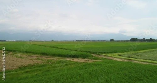 Aerial low flying drone over grassland meadow agriculture field in Slovenia. Large farmland and Alps mountains in the distance. Dynamic moving photo