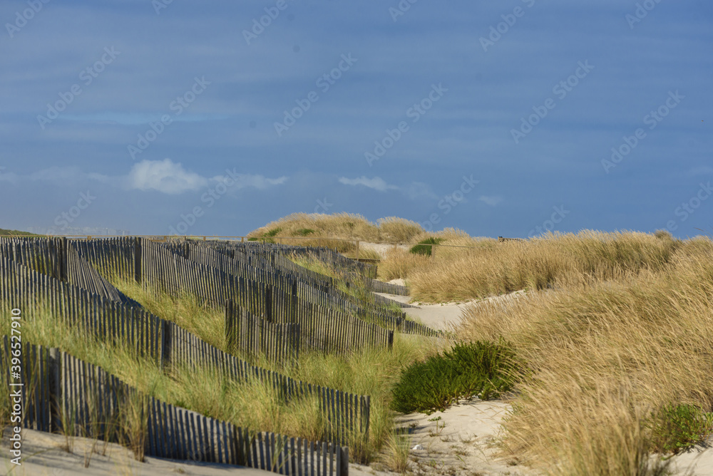 sand dunes and windbreak in Costa Nova, Aveiro district, Portugal