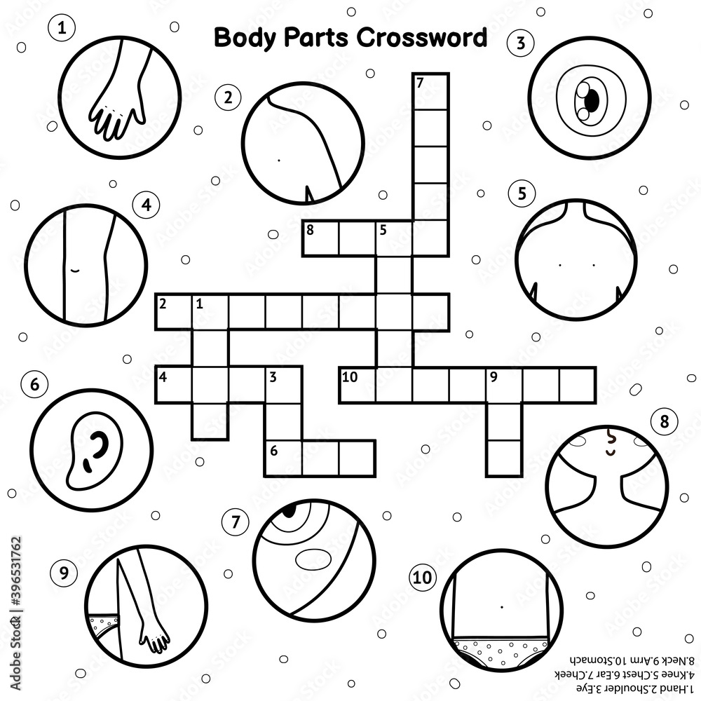 Vettoriale Stock Black and white body parts crossword. My body learning  activity and coloring page | Adobe Stock