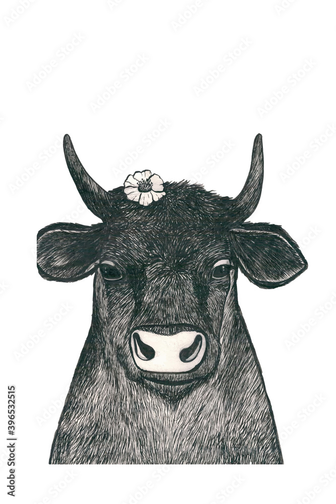 linear graphic illustration bull hand drawn symbol 2021 on a white background expressive strokes black color blank for postcard print