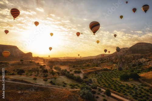Early morning in the valley with rocks and balloons in the sky at dawn. A view from a height of vineyards, fields and houses. Cappadocia. Turkey. © Ann Stryzhekin