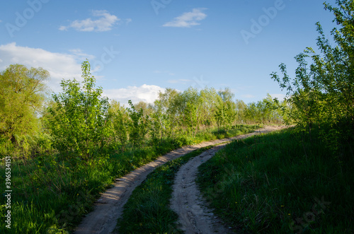 Dirt road. Photo of a summer road in the fields