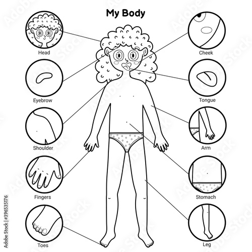 My body parts black and white educational poster with a girl. Learning human body