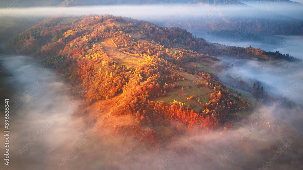 Beautiful Autumn mountain panorama. Morning thick fog cover valley aerial view. Red, Yellow, Orange trees on hillsides.