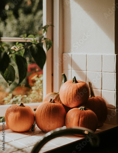 Halloween pumpkin background dark autumnal mood photo