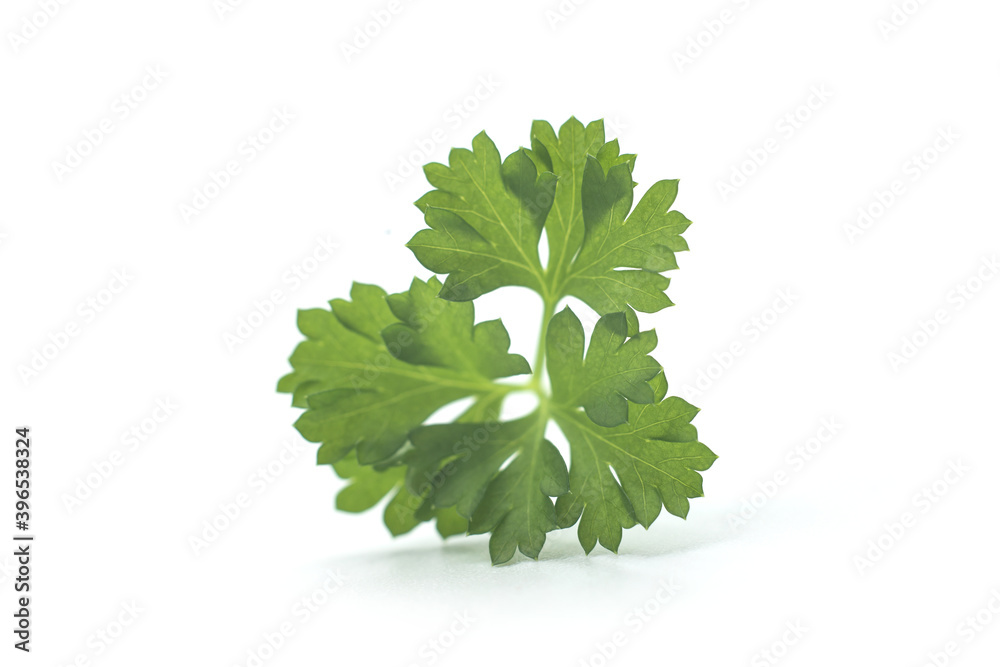 Fototapeta premium Closeup of organic parsley leaf on white background