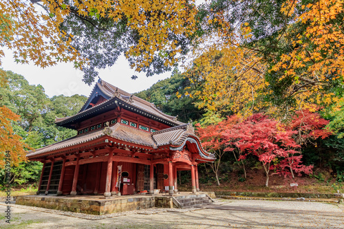                                           Autumn Taku Seibyo Saga-ken Taku city