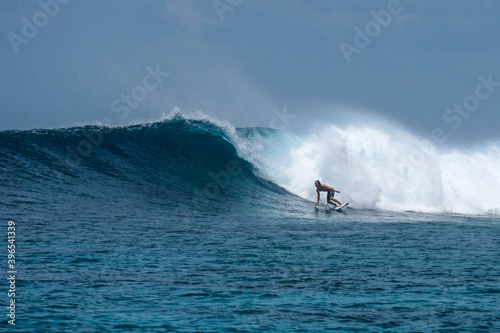 Surfer on perfect blue aquamarine wave, empty line up, perfect for surfing, clean water, Indian Ocean © Lila Koan
