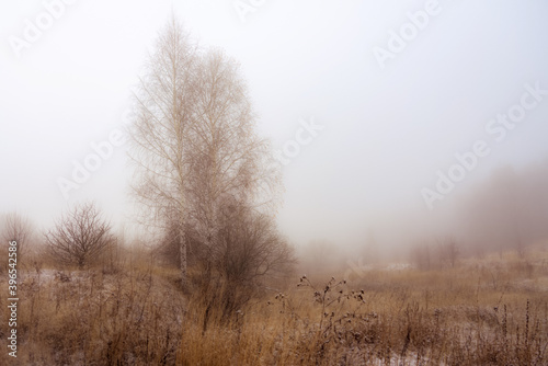 the area is shrouded in morning winter fog