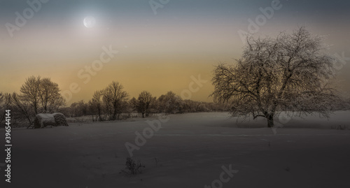 Winter night village landscape, haystack and tree illuminated by the moon