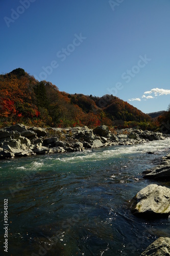 Nagatoro Cobblestone, ishidatami, and red autumn leaves are at Chichibu, saitama, Japan. Arakawa river. photo