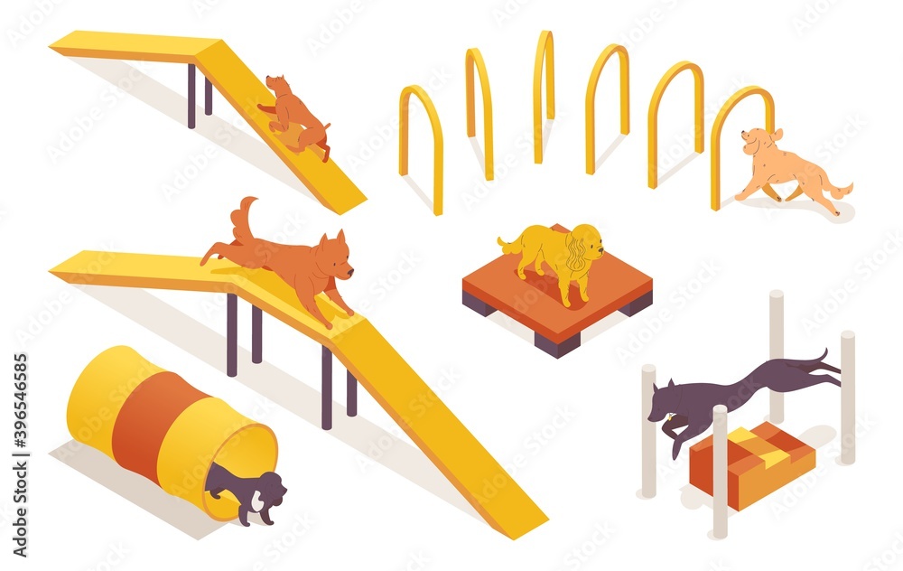 Isometric collection of dogs training on pet agility equipment elements. 3d characters running, jumping and climbing