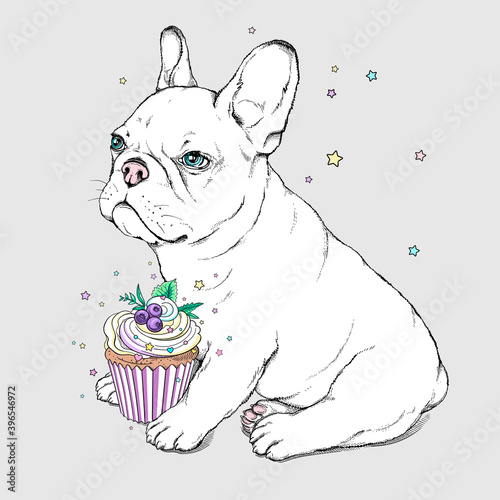 Cute cartoon french bulldog puppy with cupcake . Summer illustration. Stylish image for printing on any surface