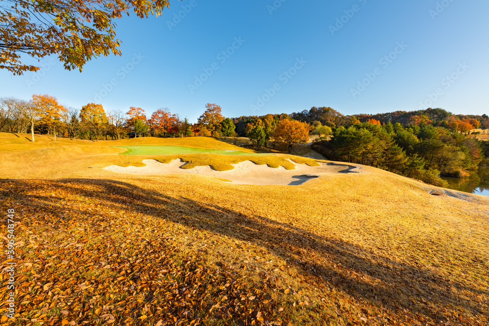 Fototapeta premium 日本 早朝で朝霜の紅葉のゴルフ場