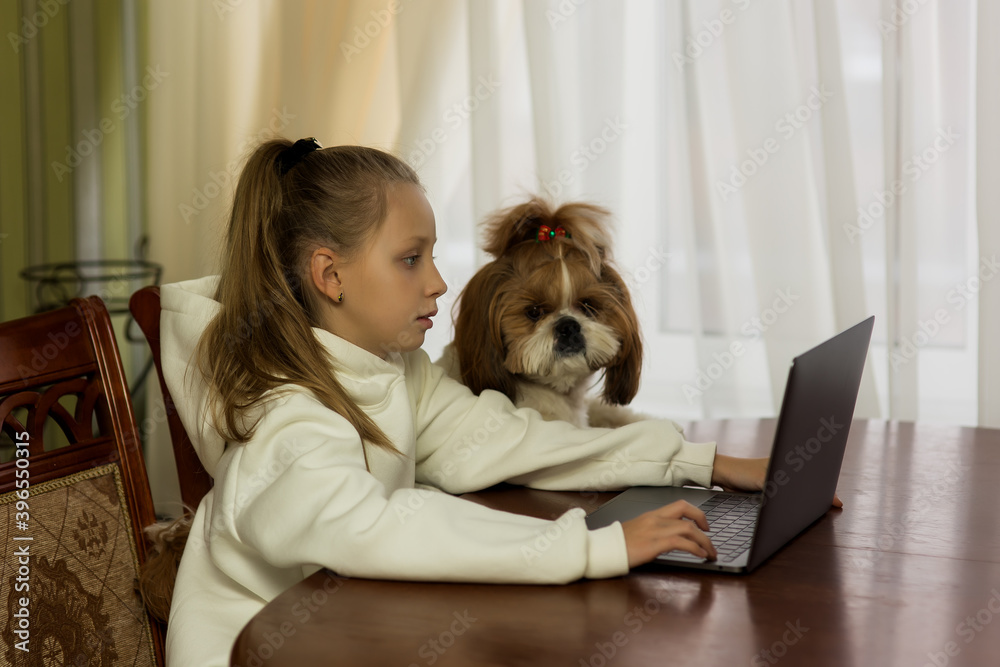 Teenage girl girl with pet dog doing homework using computer sitting by desk in room. Cozy workplace, online education, E-learning concept. Distance communication with laptop