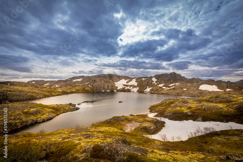 Beautiful arctic summer landscape on Barents sea shoreline. © idea_studio