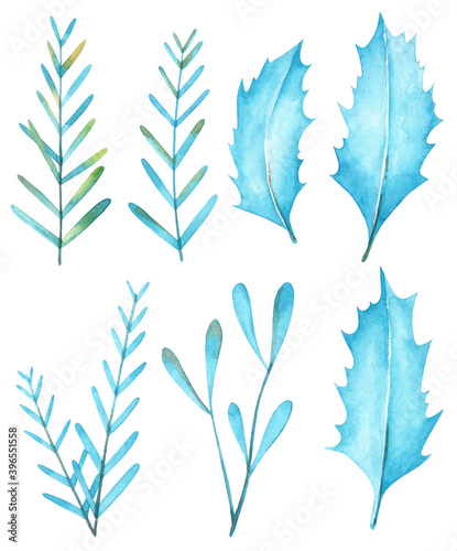 Collection of hand painted watercolor winter leaves