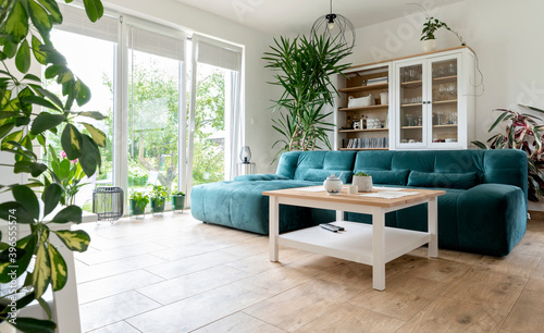 Comforatble and modern sofa in living room with wooden floor ,big window and plant. Interior of room at home. Nobody photo