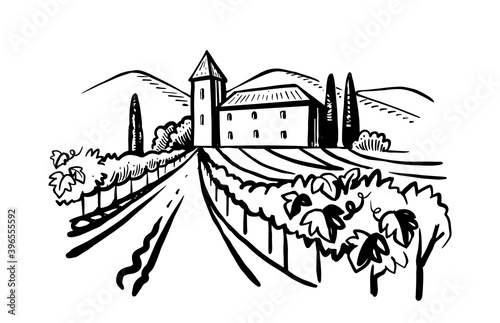 houses in village with grape field in sketch style