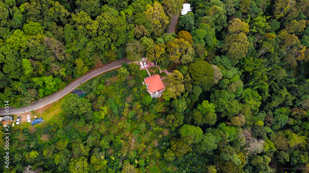 Aerial view With a house in the middle of the forest in the countryside with green