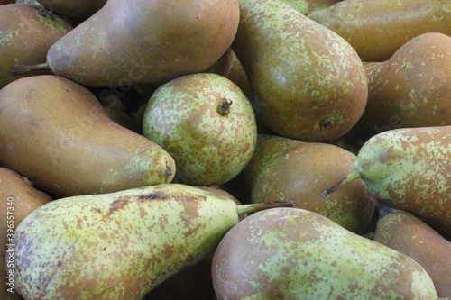 pears organic farming conference