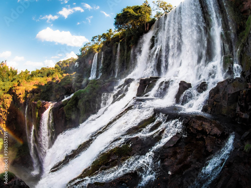 waterfall in park iguazu falls 