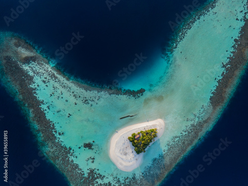 Vászonkép top down aerial shot of uninhabited islan with pristine coral reef