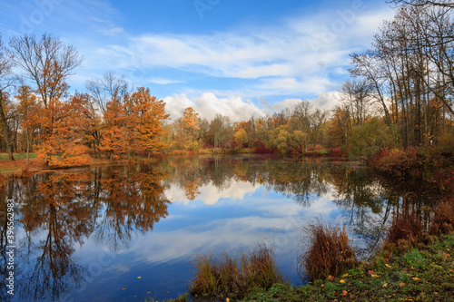 The Alexander Park during golden autumn  Pushkin city  Saint-Petersburg  Russia  orange leafs