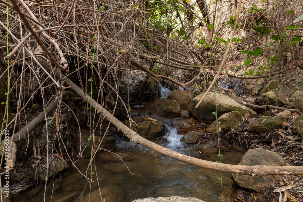 The swift, shallow, cold mountain Ayun river in the Galilee in northern Israel The swift, shallow, cold mountain Ayun river in the Galilee in northern Israel