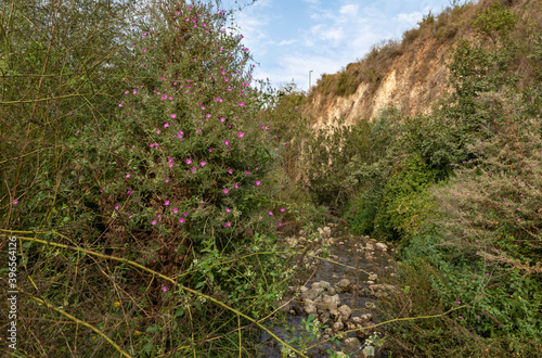 The swift, shallow, cold mountain Ayun river in the Galilee in northern Israel