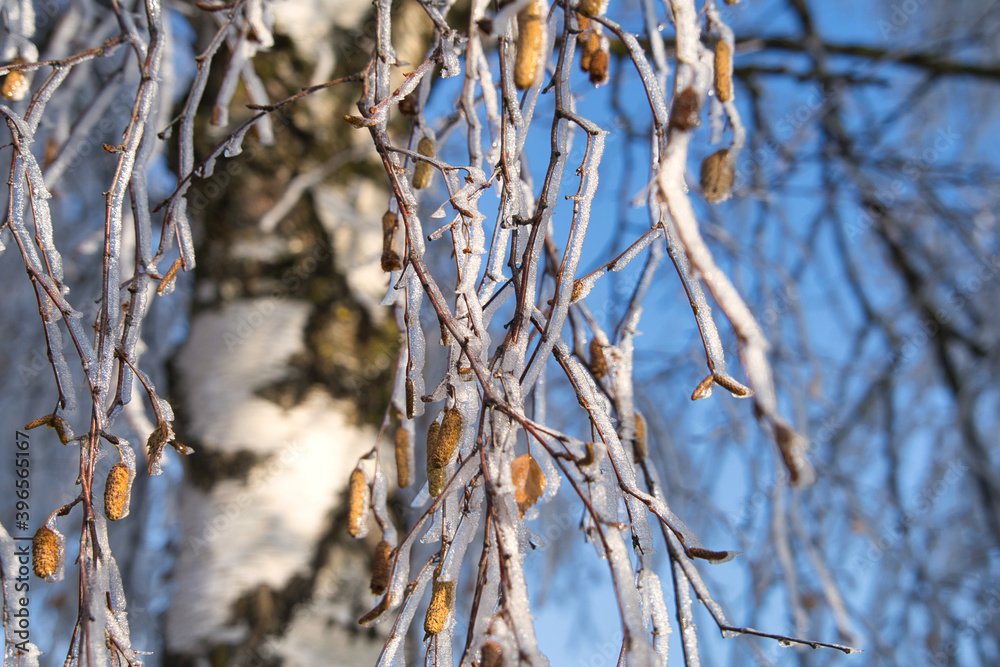 Frostige Winterlandschaft mit Schnee und Eisblumen im Dezember, Postkartenmotiv, Kalenderbild Frostige Winterlandschaft mit Schnee und Eisblumen im Dezember, Postkartenmotiv, Kalenderbild